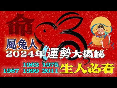 2011是什麼年